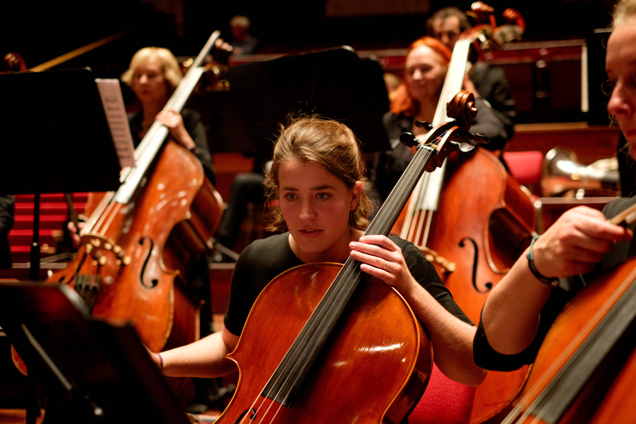 BOA Concertgebouw (2023) – Foto: Coen Dijkstra